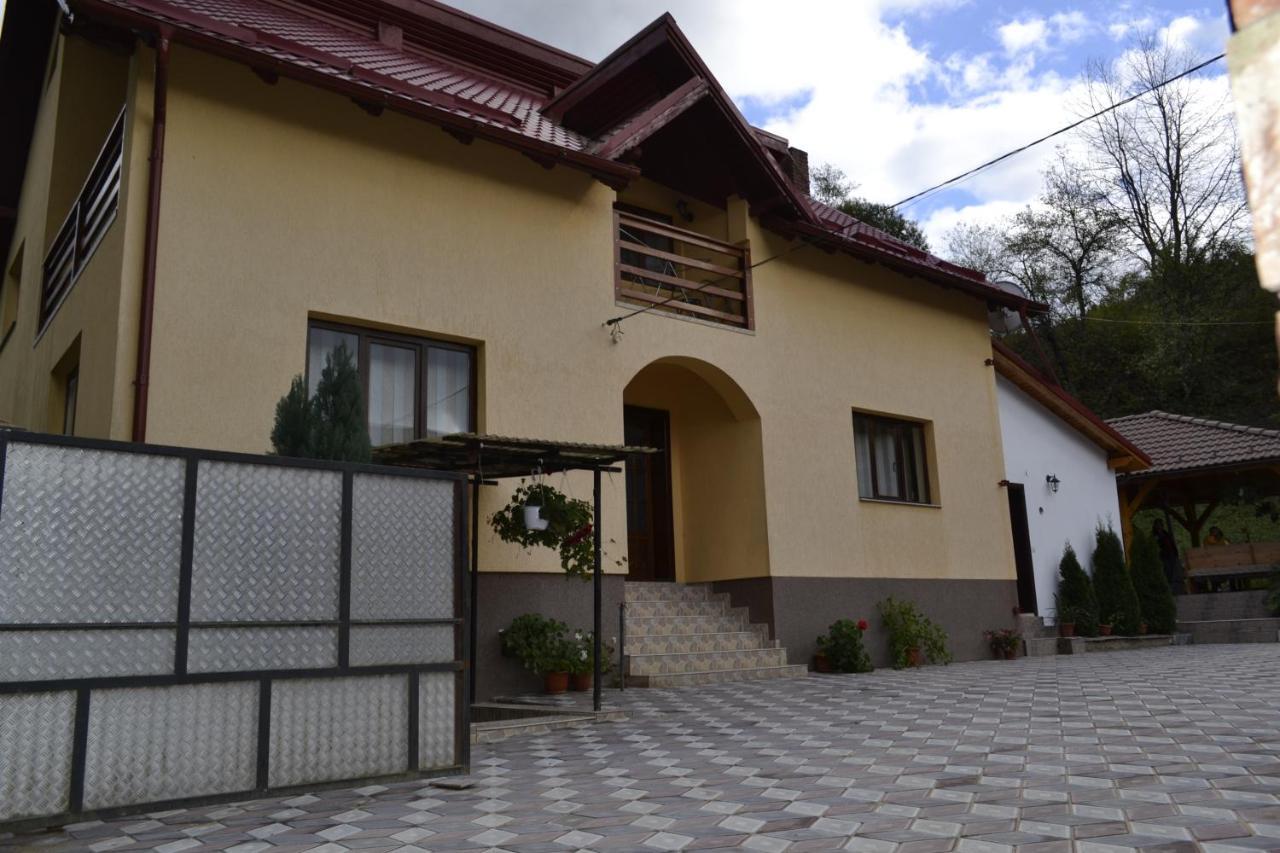 Pensiunea Malinul Birsana Exterior photo