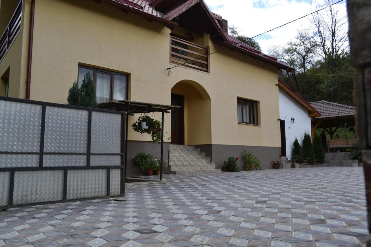 Pensiunea Malinul Birsana Exterior photo