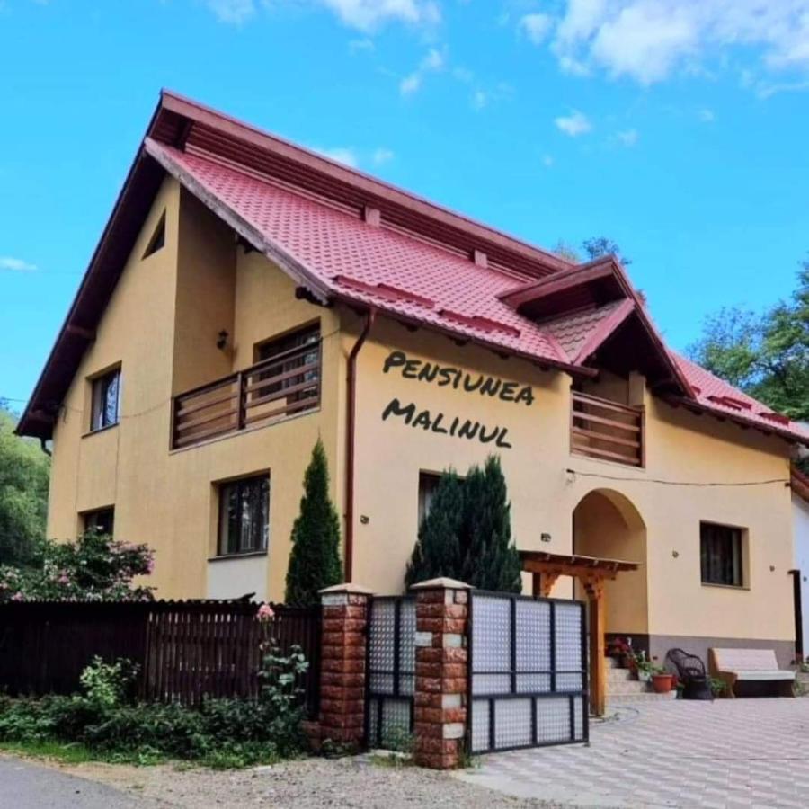 Pensiunea Malinul Birsana Exterior photo