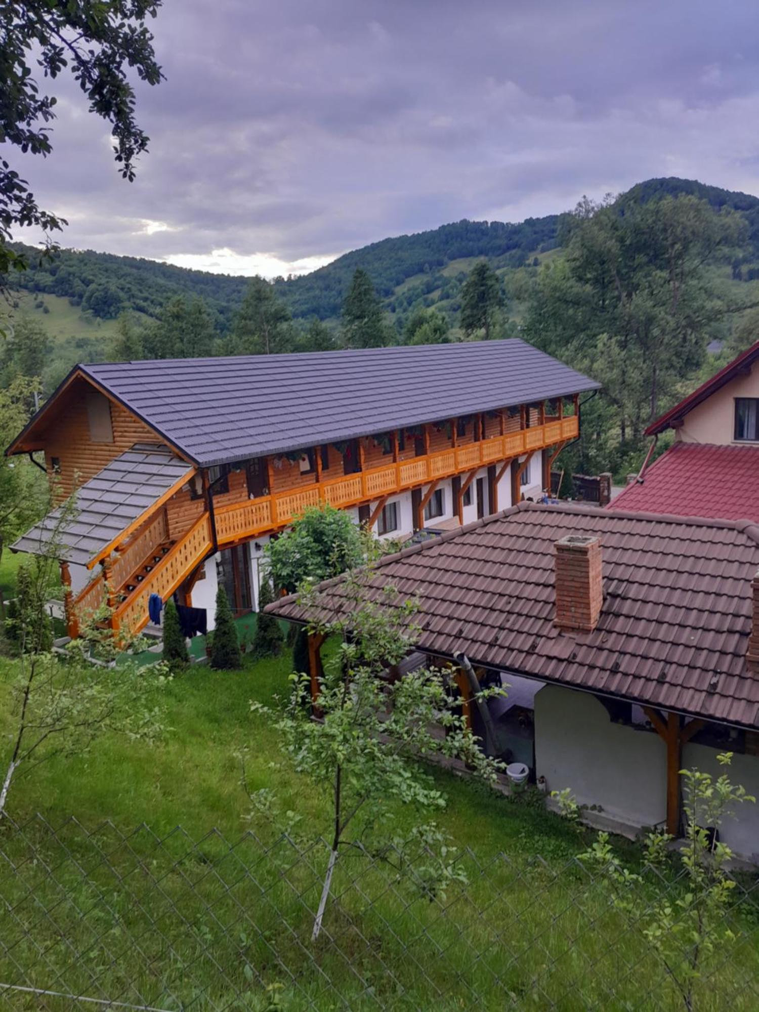 Pensiunea Malinul Birsana Exterior photo