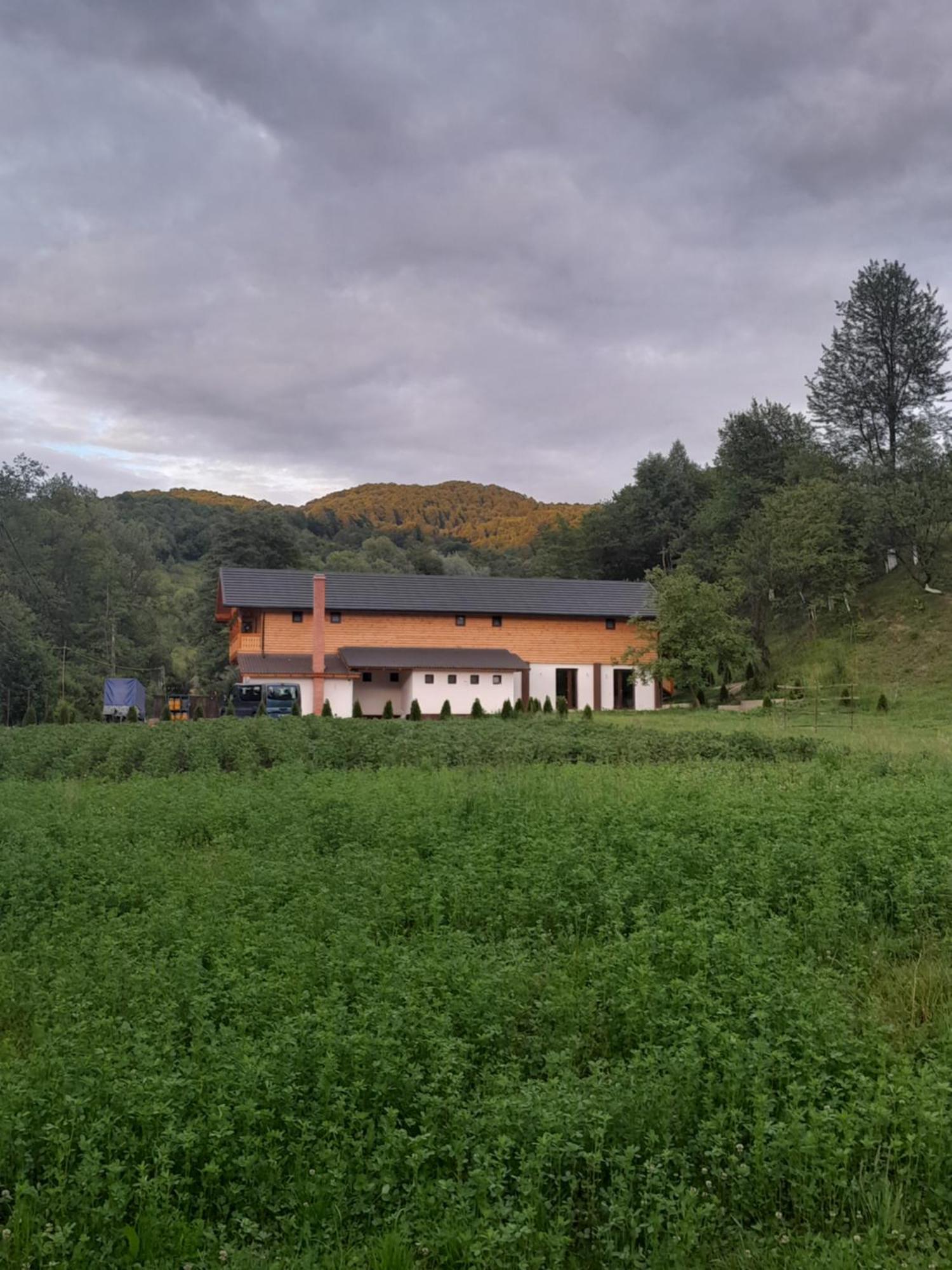 Pensiunea Malinul Birsana Exterior photo