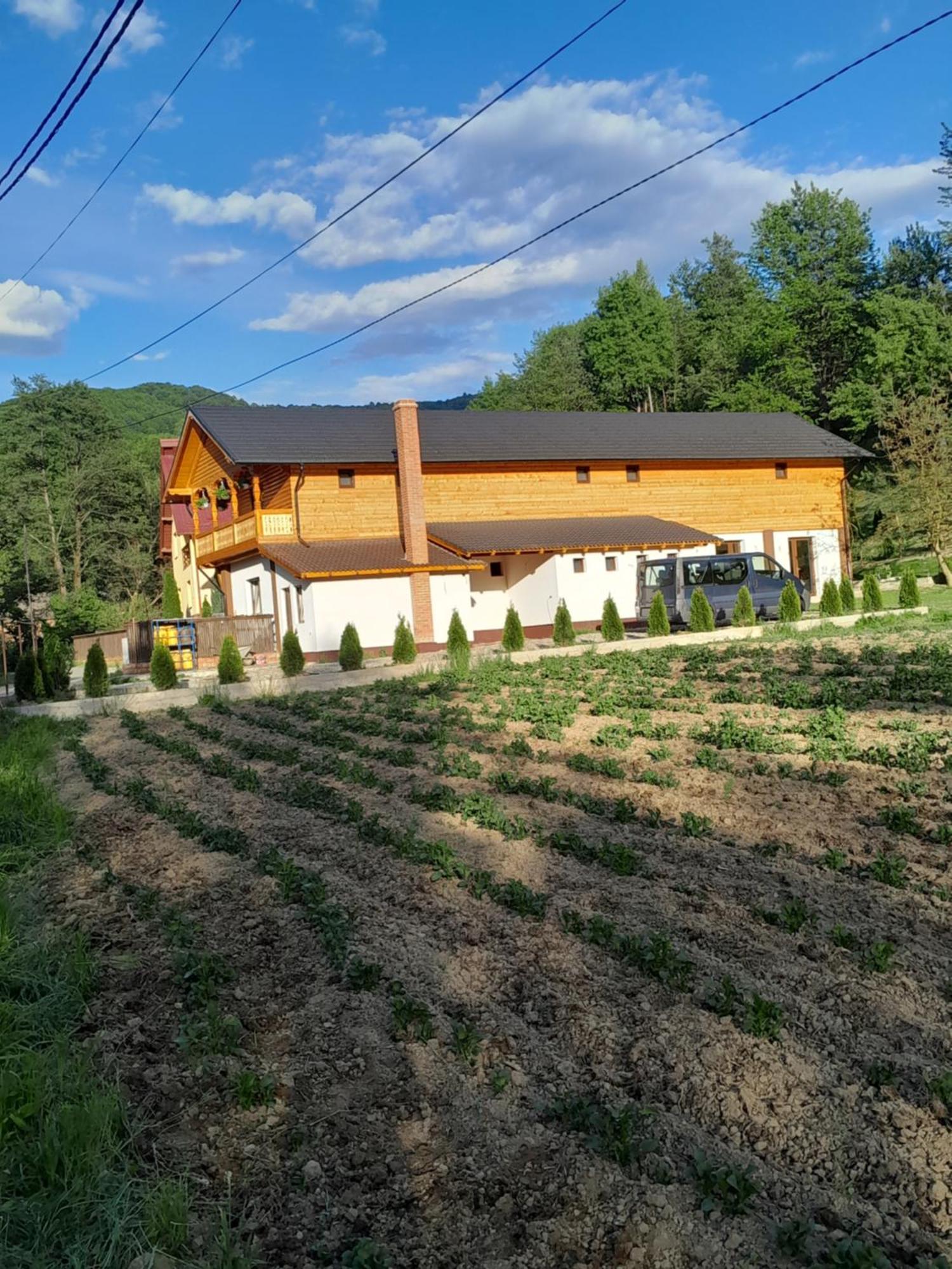 Pensiunea Malinul Birsana Exterior photo